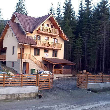 Vidra Parc Hotel Voineasa Kültér fotó
