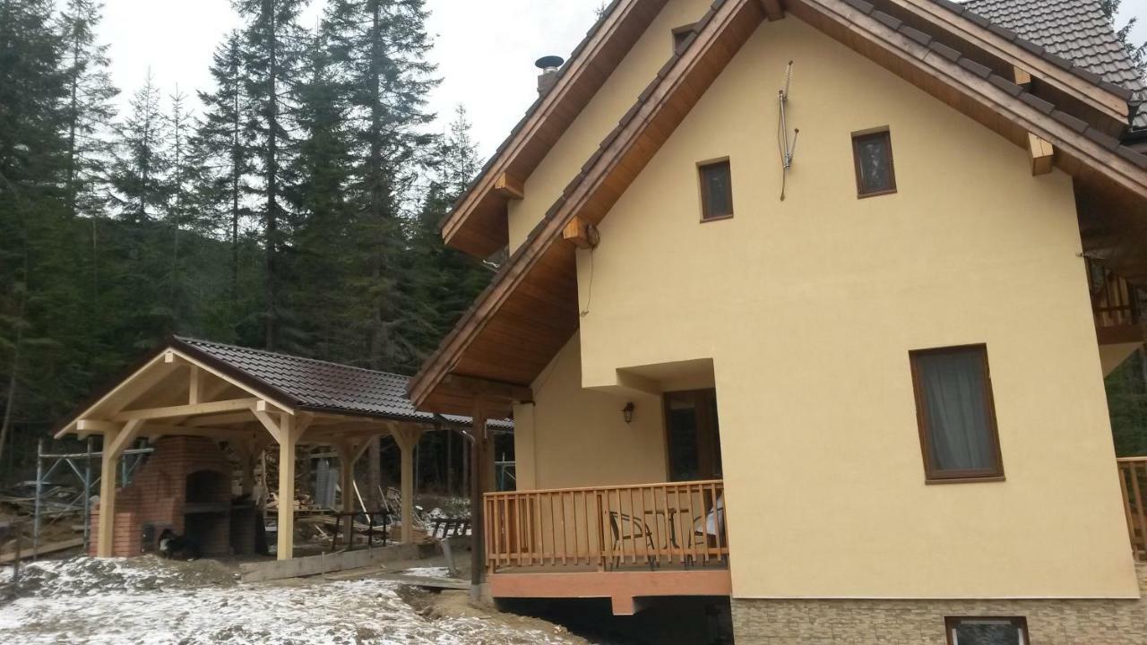 Vidra Parc Hotel Voineasa Kültér fotó