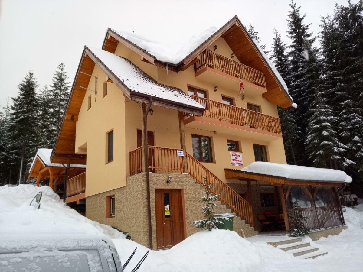 Vidra Parc Hotel Voineasa Kültér fotó