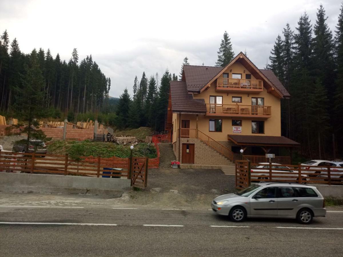 Vidra Parc Hotel Voineasa Kültér fotó