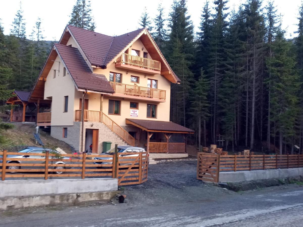 Vidra Parc Hotel Voineasa Kültér fotó